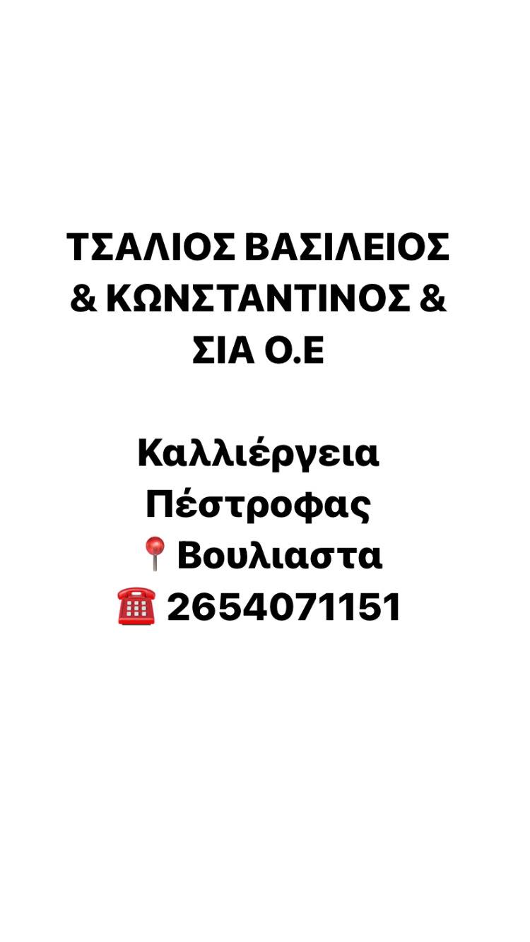 ΤΣΑΛΙΟΣ ΒΑΣΙΛΕΙΟΣ & ΚΩΝΣΤΑΝΤΙΝΟΣ & ΣΙΑ Ο.Ε Logo